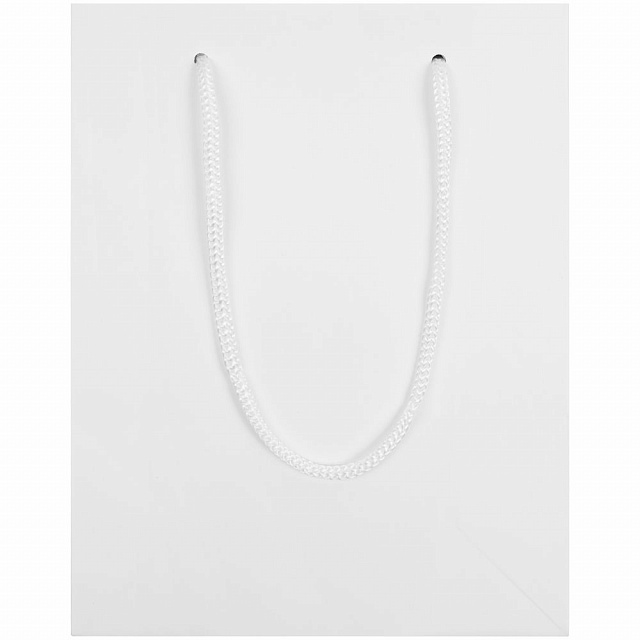 Миниатюра WWW (1000)